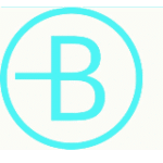 BRAUS BERATUNG+REVISION GmbH Wirtschaftsprüfungsgesellschaft